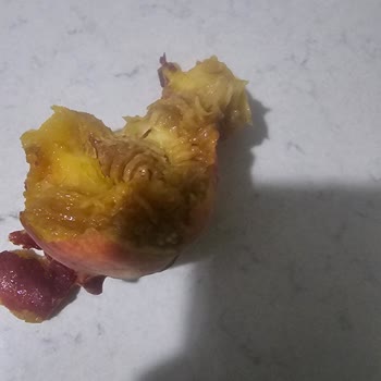 Taze Diye Satılan Şeftaliler Donmuş Ve Bozuk Çıktı, Mağdur Oldum