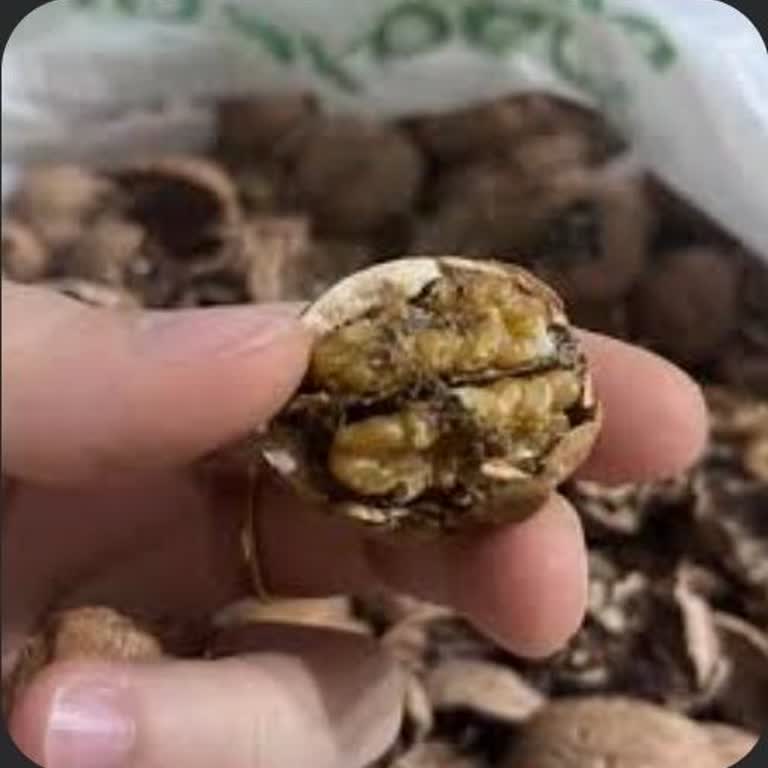 Migros’ta Satılan Cevizlerin Bayat Ve Sağlıksız Olması Hakkında Şikayet