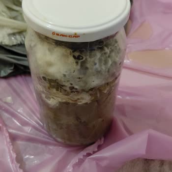 @egeden_tazelik Küflü Ve Hasarlı Salamura Yaprak İçin Para İadesi Yapılmadı