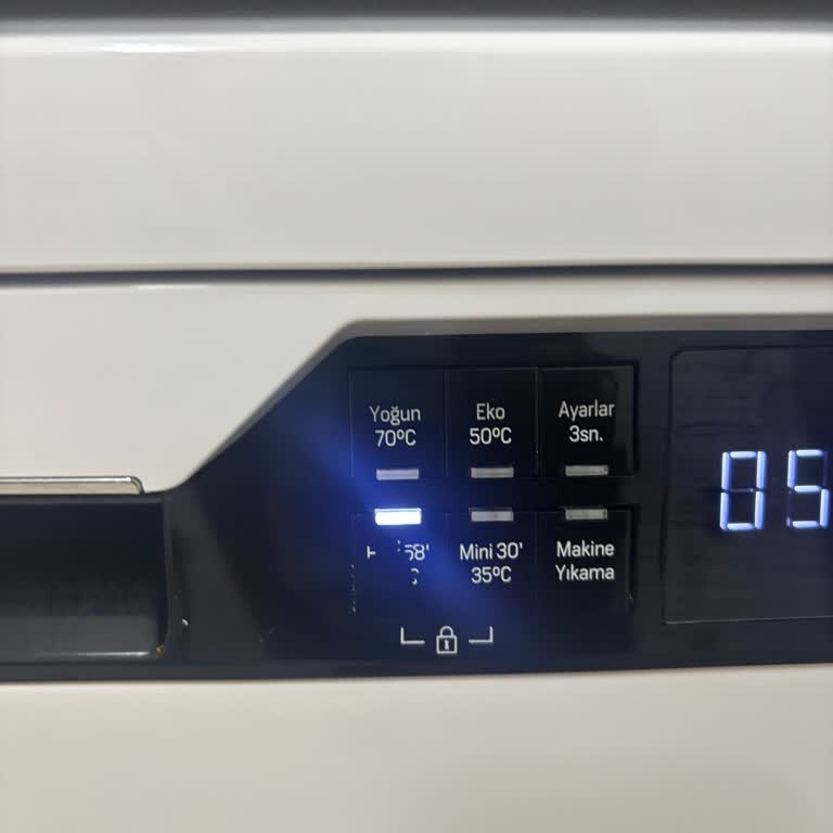 Bulaşık Makinesi Tuş Yazıları Kısa Sürede Silindi Kullanım Zorluğu Yaşanıyor