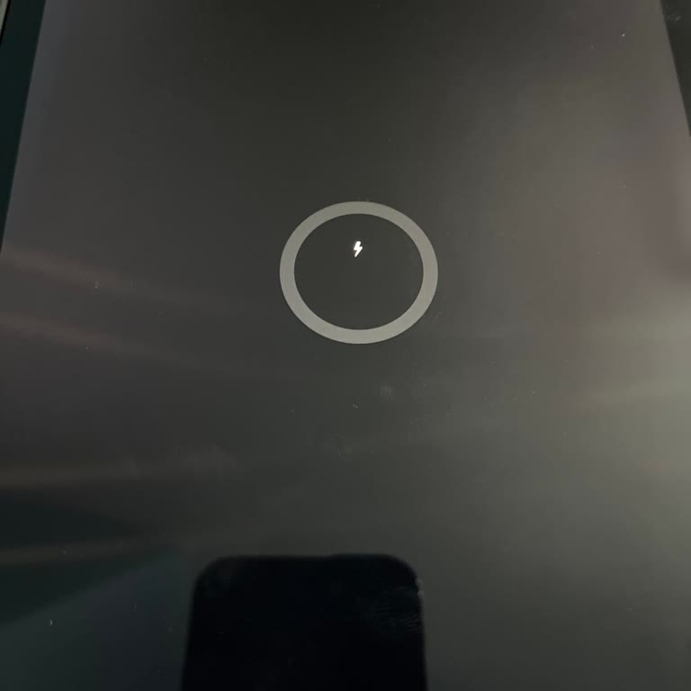 Samsung Galaxy TAB S6 Lite Şarj Olmama Sorunu Ve Ücretsiz Onarım Talebi