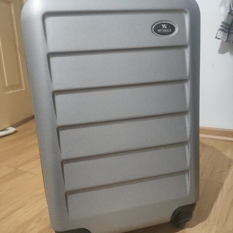 Haksız Bagaj Ücreti Ve Toplu Mağduriyet: Pegasus'tan Açıklama Ve İade Talebi