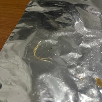 Ruffles Peynir Soğanlı Cipsin İçinden Çıkan Yabancı Cisim Şok Etti