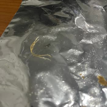 Ruffles Peynir Soğanlı Cipsin İçinden Çıkan Yabancı Cisim Şok Etti