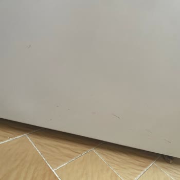 Buzdolabı Arızasında Servis Gecikmesi Ve Bilgilendirme Eksikliği Nedeniyle Mağduriyet