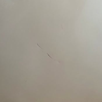 Buzdolabı Arızasında Servis Gecikmesi Ve Bilgilendirme Eksikliği Nedeniyle Mağduriyet