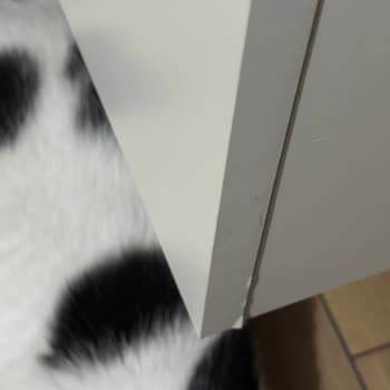 Hatalı Ve Eksik Teslimat, Çözüm Sunulmuyor!