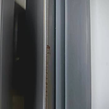 Değişen Kapıda Paslanma Ve Haksız Servis Ücreti Mağduriyeti