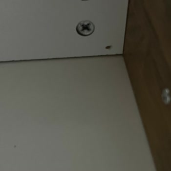 Montaj Hizmetinde Kötü İşçilik Ve Mağduriyet: Ücret İadesi Talebim