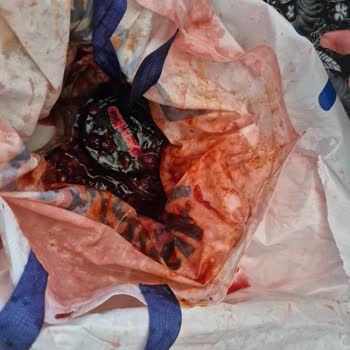 Yurtiçi Kargo Gönderiminde Ciddi Bir Mağduriyet Yaşadım