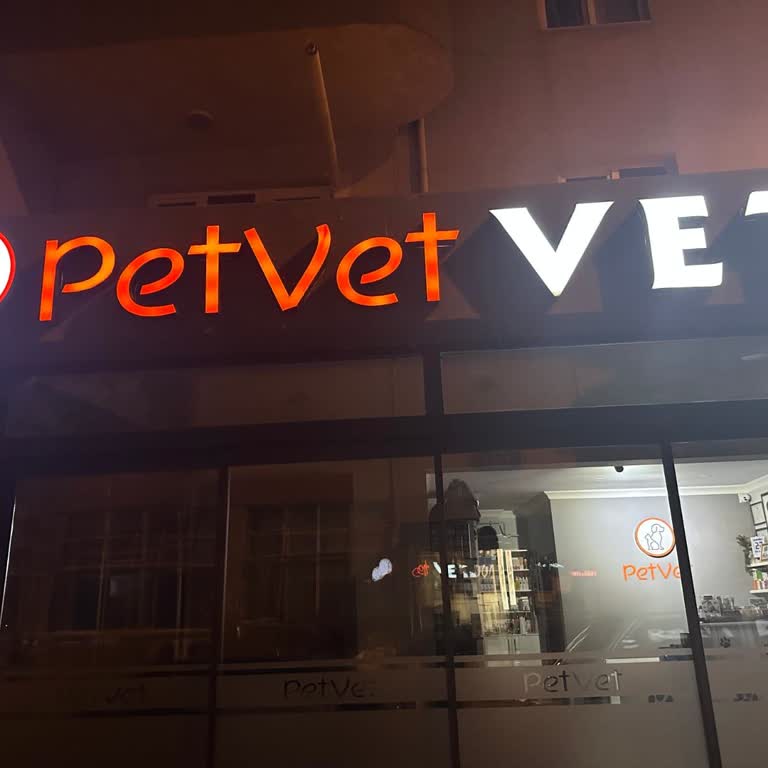 Veteriner Kliniğinde İhmalkarlık Ve Sorumluluk Eksikliği Sonucu Köpeğimizin Kaybı