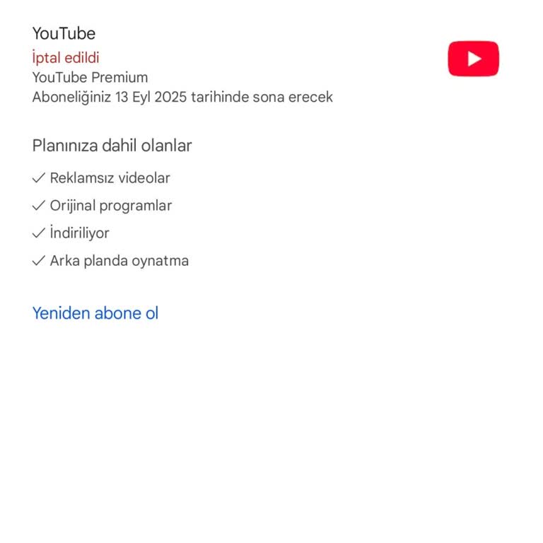 Youtube Premium Aboneliği Bitince İzinsiz Para Çekildi