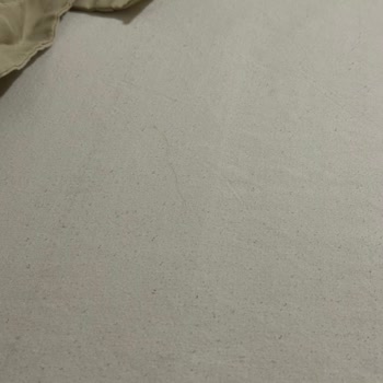 Kirli Daire, Eksik Havlu Ve İlgisiz Ev Sahibi Nedeniyle Paris'te Mağduriyet Yaşadım