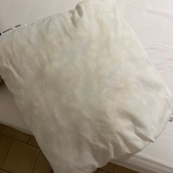 Kirli Daire, Eksik Havlu Ve İlgisiz Ev Sahibi Nedeniyle Paris'te Mağduriyet Yaşadım