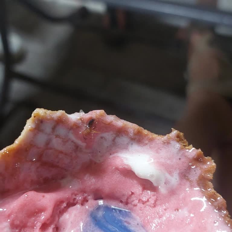 Dondurmamda Böcek Çıktı Ve Büyük Boy Verildi