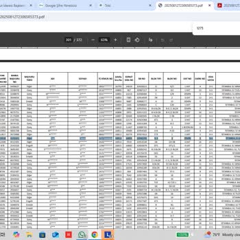 TOKİ Çekilişinde Yanlış Projeye Yönlendirilme Ve Mağduriyet