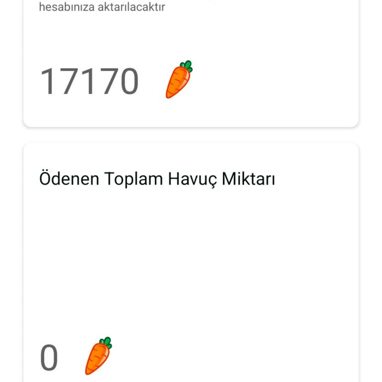 Biriktirilen Puanlar Ödenmedi, Hesap Engellendi Ve Destek Alınamıyor