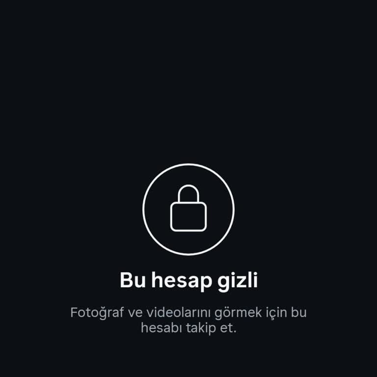 Instagram Profilimde Sürekli 'Instagram Kullanıcısı' Olarak Görünme Sorunu Ve Kalıcı Çözüm Talebi
