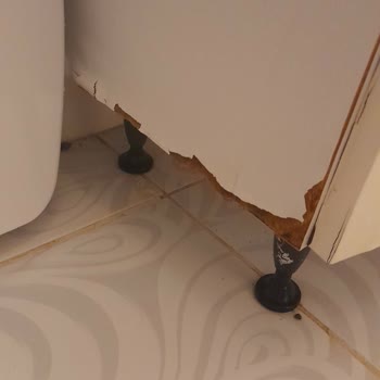 Club Bayar Beach Hotel Pişmanlığı