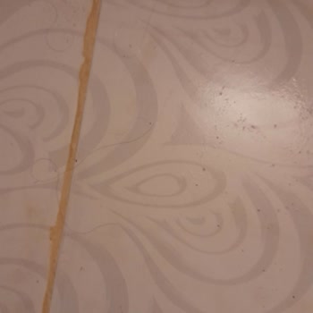 Club Bayar Beach Hotel Pişmanlığı