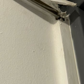 İnternet Bağlantısı İçin Yapılan Hatalı İşlem Elektrik Arızasına Yol Açtı!