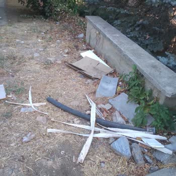 Yeşil Alanın Bakımsızlığı Ve Belediyenin Yetersiz Temizlik Hizmeti