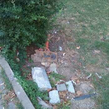 Yeşil Alanın Bakımsızlığı Ve Belediyenin Yetersiz Temizlik Hizmeti
