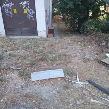 Yeşil Alanın Bakımsızlığı Ve Belediyenin Yetersiz Temizlik Hizmeti