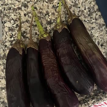 Şok Marketten Gelen Taze Olmayan Patlıcan Nedeniyle Ücret İadesi Talebim