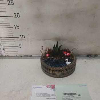 Görseldeki Teraryumdan Farklı Ve Eksik Ürün Teslimatı