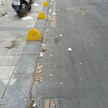 Sultanselim Caddesi Sonbahar Sokak'ta Temizlik Sorunu Ve İhmal