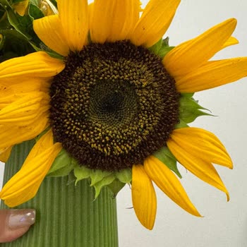 Doğum Günü İçin Gönderilen Bayat Ve Eksik Teslim Edilen Çiçek Hayal Kırıklığı Yarattı