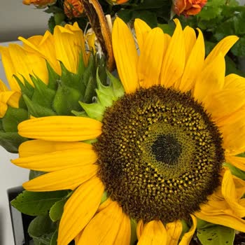 Doğum Günü İçin Gönderilen Bayat Ve Eksik Teslim Edilen Çiçek Hayal Kırıklığı Yarattı