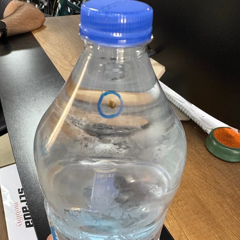 Damla Su Şişesinde Hijyen Sorunu Ve Müşteri Hizmetlerinden Yanıtsızlık