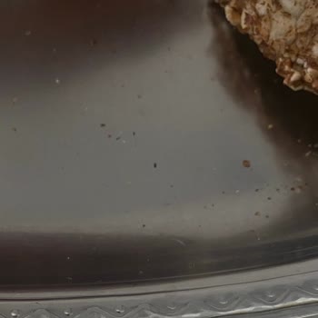 Glutensiz Fabrika Karabuğday Patlağında Böcek Şoku Ve Hijyen Sorunu!