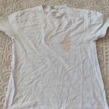 Çamaşır Makinesi Temizlik Sorunu Ve Servis Desteği Eksikliği