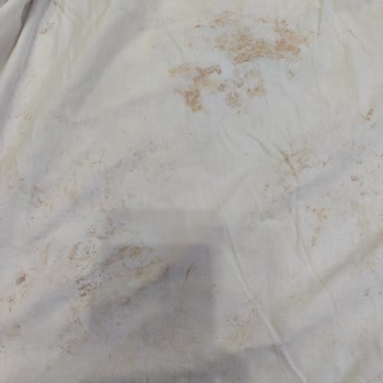 Çamaşır Makinesi Temizlik Sorunu Ve Servis Desteği Eksikliği