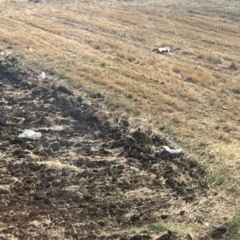 Atakum Belediyesi'nde Düzenli Çöp Toplama Sorunu