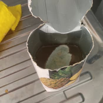 Son Kullanma Tarihi Geçmemiş Ananas Suyunda Yoğun Küf Ve Sağlık Sorunu Yaşadım