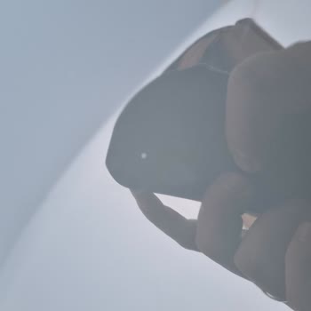 Sıfır Araçta Teslimat Sorunları Ve Eksik Donanım Şikayeti