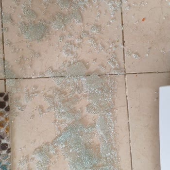 Vestel Buzdolabı Camı Kendi Kendine Patladı Garanti Kapsamı Belirsizliği