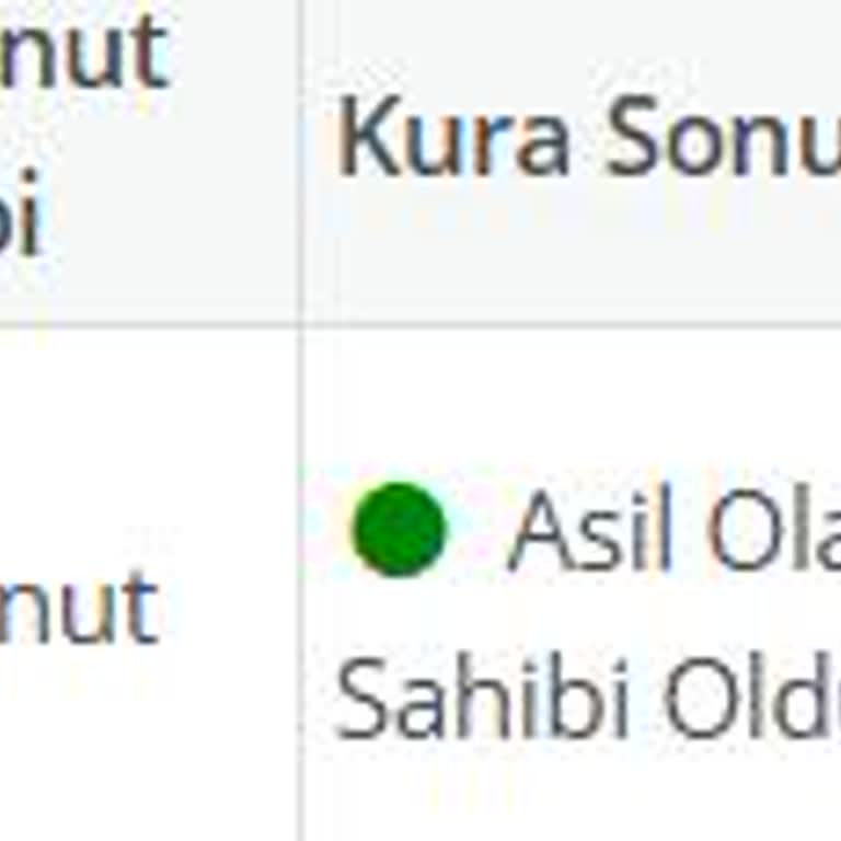 Tuzla Sosyal Konut Kura Sonucunda Yanlış Bölgeye Yönlendirme Mağduriyeti