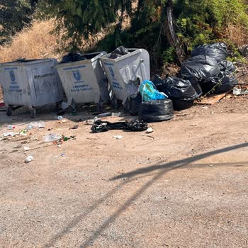 Bodrum Turgutreis’te Çöp Toplama Sorunu Ve Belediyeden Çözüm Beklentisi