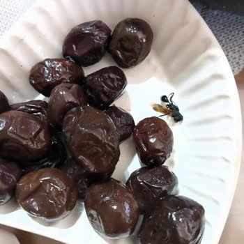 Zeytin Kavanozunda Böcek Çıkması Güvenimizi Sarsdı