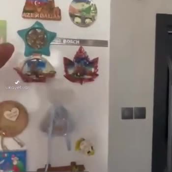 Bosch Buzdolabının Kapağının Çürümesi Ve Boya Atması