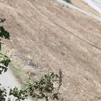 Darıca Bayramoğlu’nda Temizlik Ve Dezenfeksiyon Eksikliği Yaşam Kalitesini Düşürüyor