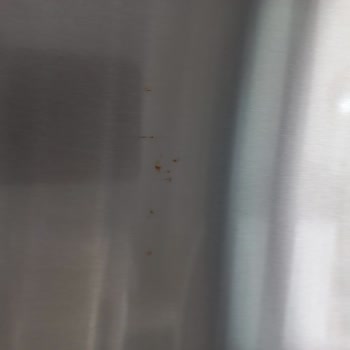 Bosch Buzdolabında Paslanma Ve Renk Atması Sorununa Çözüm Bulunmuyor