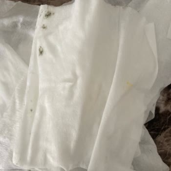 Islak Mendillerde Küflenme Ve Kötü Koku Sorunu, Bebek Sağlığı Tehlikede