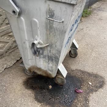 Aylarca Çözülmeyen Çöp Sorunu Ve Kötü Koku Şikayeti