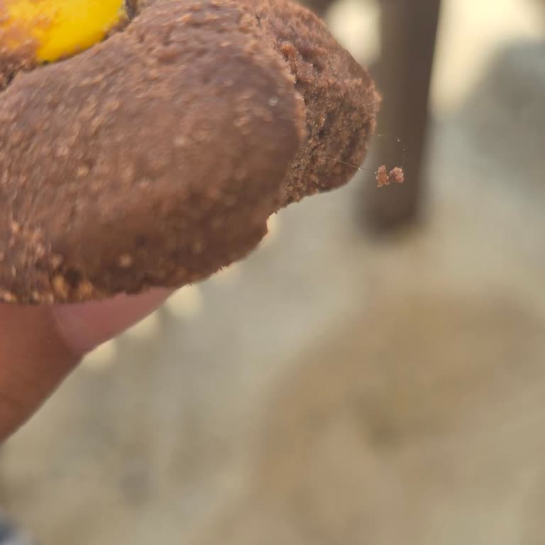 Kurabiyede Saç Teli Şoku: Hijyen Sorunu Yaşadım